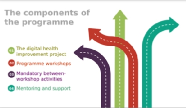 Figure 1: Components of the Topol NHS Digital Fellowship (courtesy of Stuart Sutherland, Head of Digital, NSHCS)