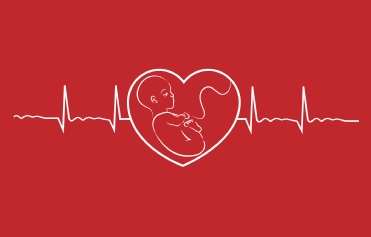 Registry of Pregnancy & Cardiac Disease