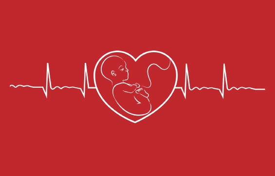 Registry of Pregnancy & Cardiac Disease