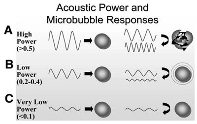 Figure 3 : The impact of varying mechanical index on microbubble behaviour (Lindner J et al. Curr Probl Cardiol (2002); 11; 454-519)