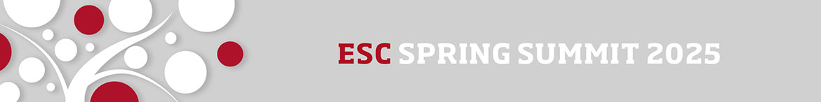 Spring Summit 2025 banner