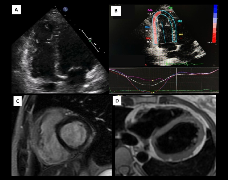 336_Sanz de la Garza_Figure 3.jpg