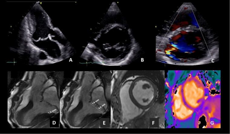 336_Sanz de la Garza_Figure 4.jpg