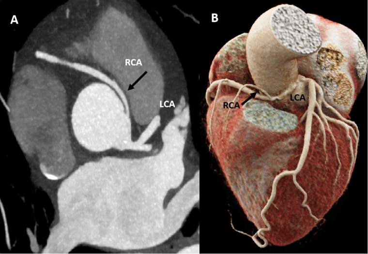 336_Sanz de la Garza_Figure 5.jpg