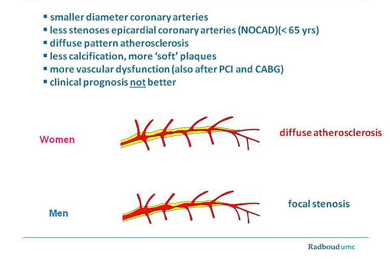 V15n03-Figure1.jpg