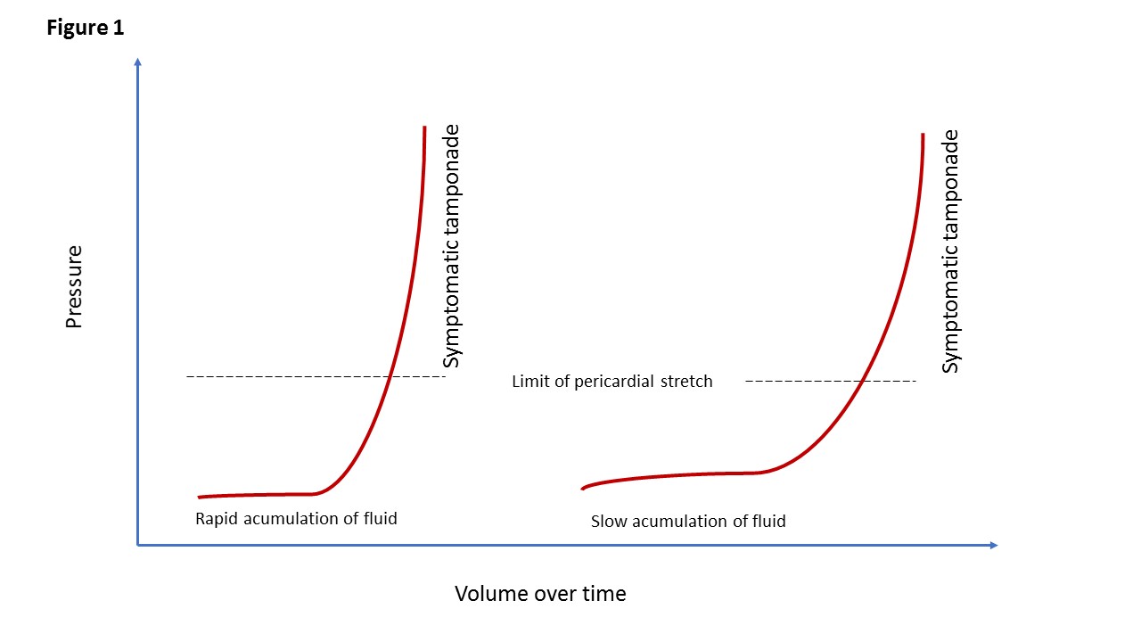 v15_17_Figure 1.jpg