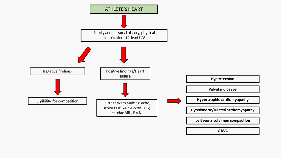 Heart Enzyme Levels Chart
